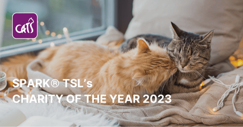 We raised £2,216 for Cats Protection, our Charity of the Year