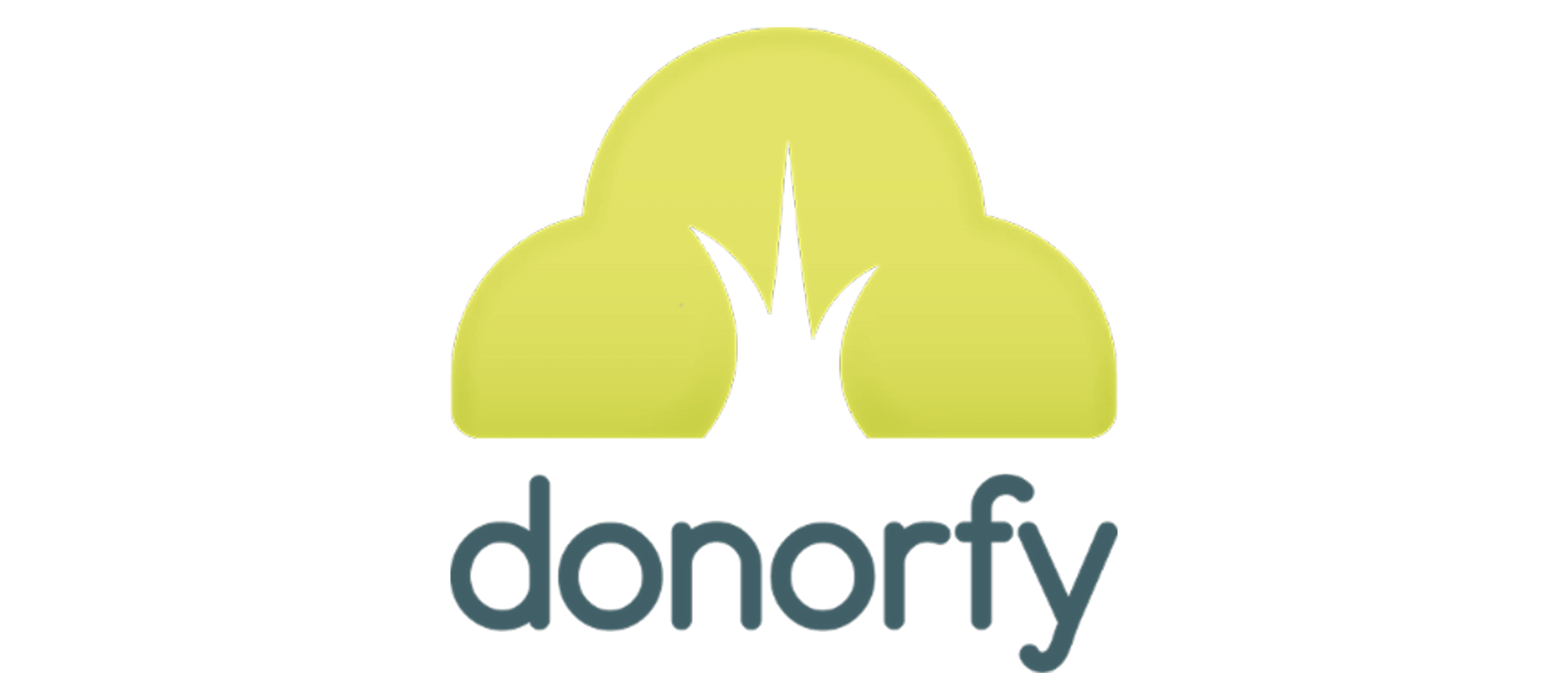 Donorfy Logo
