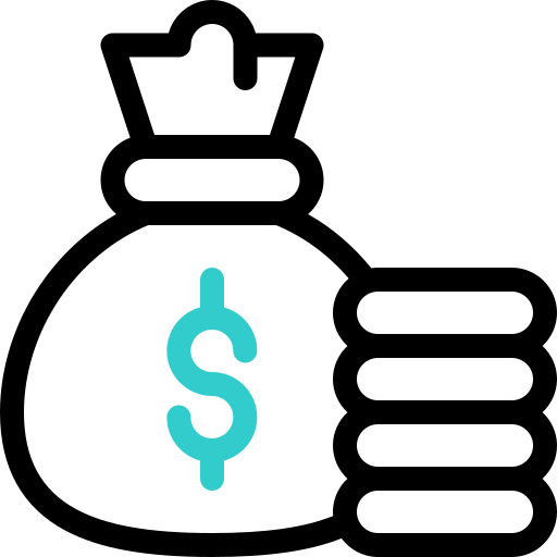 money-bag